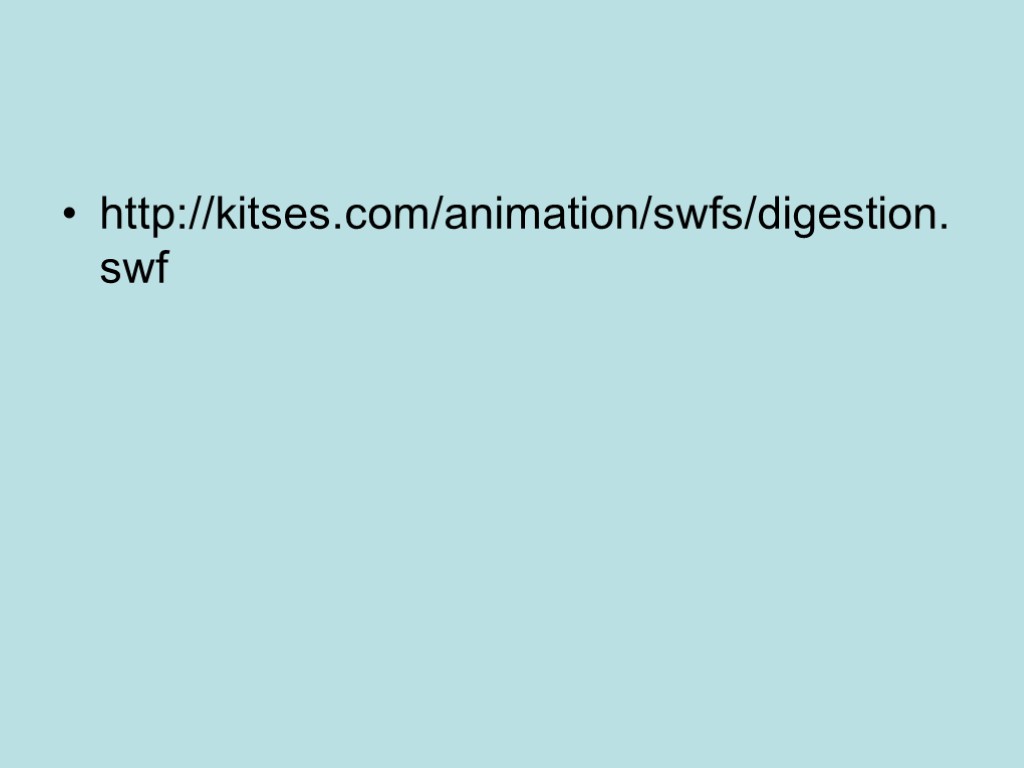 http://kitses.com/animation/swfs/digestion.swf